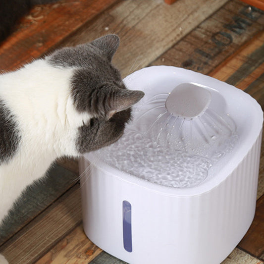 Automatic Pet Water Fountain
