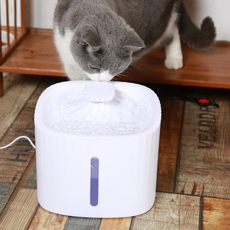Automatic Pet Water Fountain