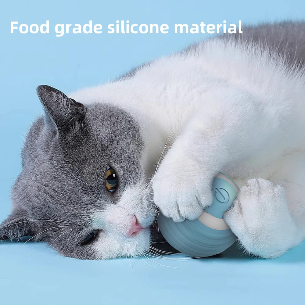 Cat Interactive Ball